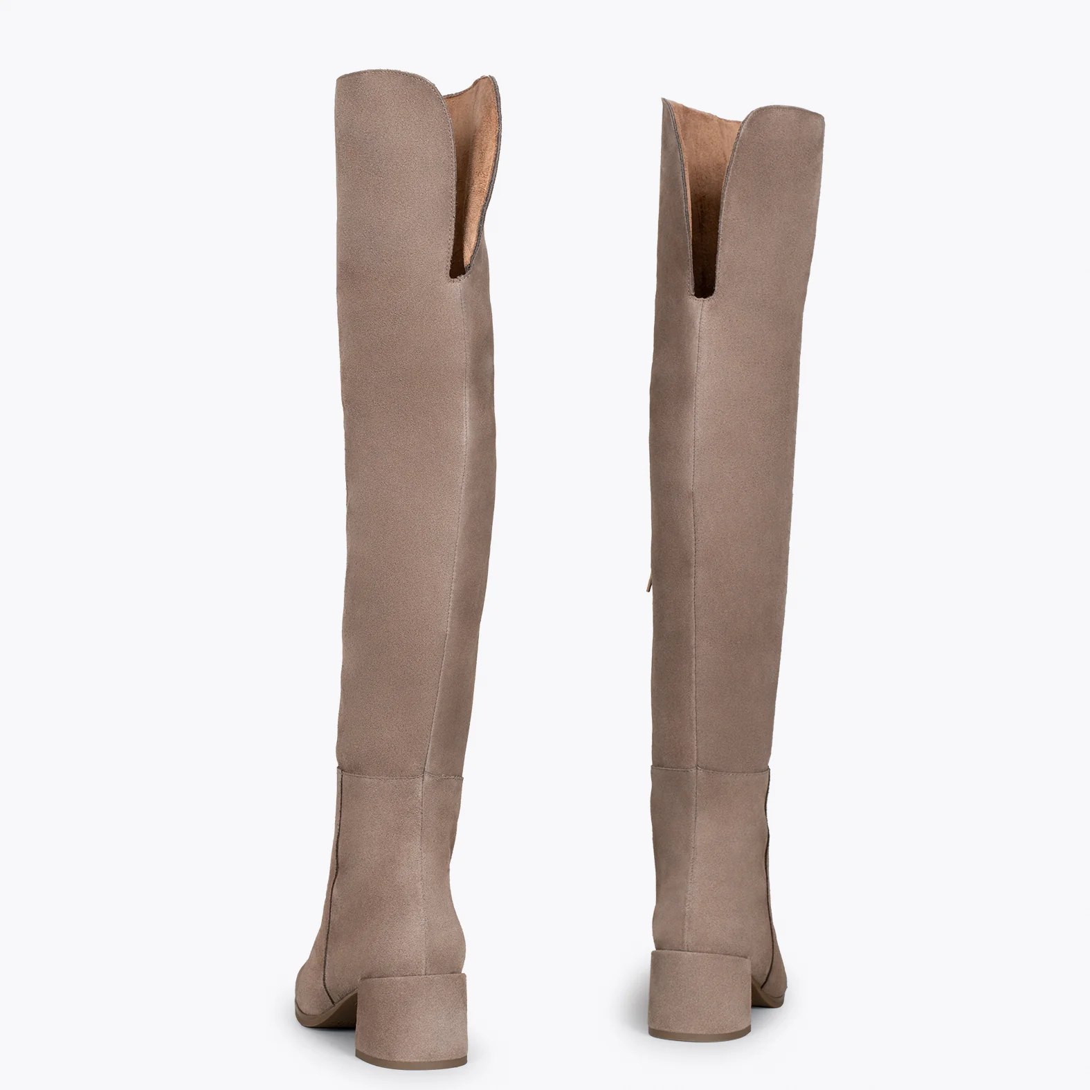 MOSQUETERAS - Botas altas de serraje TAUPE - Image 4